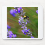 Bee in Lavender Mouse Pad