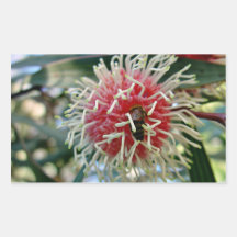 Bee in shaggy pink/white flower rectangular sticker