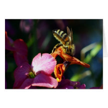 Bee-ing Busy! Card