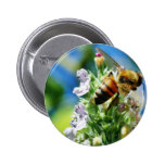 Bee Insect Button