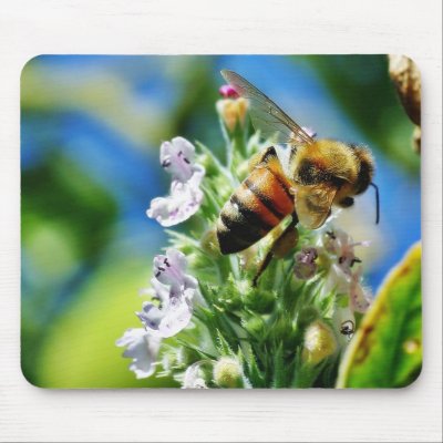Bee Insect Mouse Pad by lifesphere