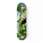 Bee Insect Skate Deck