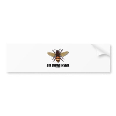 Bee Lover Inside Bumper Sticker by wordsunwords