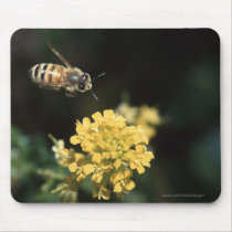 bee mousepads