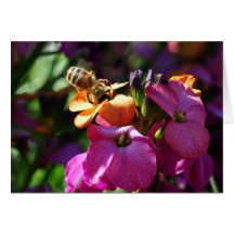 Bee 'n Beauty Cards