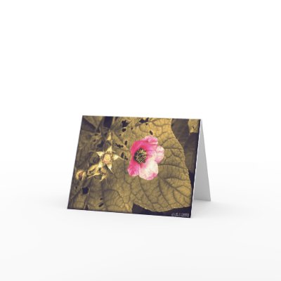 Bee Notecards by JLS_Photography