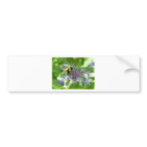 bee,on a batchelor button bumper stickers