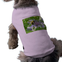 bee,on a batchelor button dog tee shirt