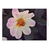 Bee on a purple flower card