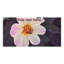 Bee on a purple flower photo card template
