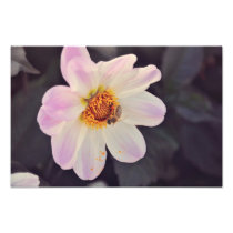 Bee on a purple flower photograph