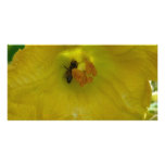 bee on a squash flower photo card template