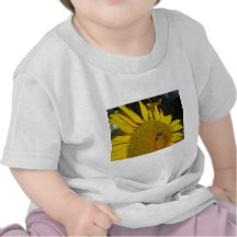 Bee on a Sunflower Tee Shirts