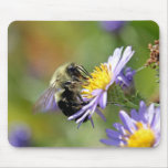 Bee on Aster Flower Photo Mouse Pad