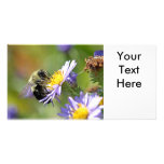 Bee on Aster Flower Photo Photo Card Template