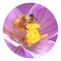 Bee on Crocus ~ sticker