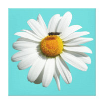 Bee on Daisy Stretched Canvas Print