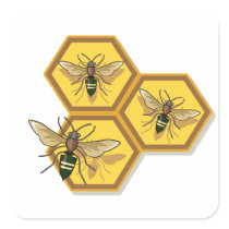 Bee on Homeycomb Square Stickers