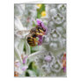 Bee on Lambs Ear ~ card