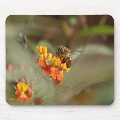 Bee on Lantana Mousepad by pulsDesign