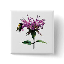 Bee on Lavender Bee Balm