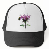 Bee on Lavender Bee Balm