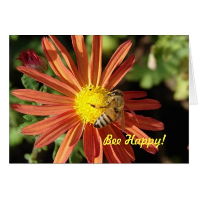 Bee on Mum, Bee Happy! by angelandspot