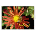 Bee on Mum, Bee Happy! cards