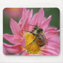 Bee On Pink Daisy Flower Photo Mousepad