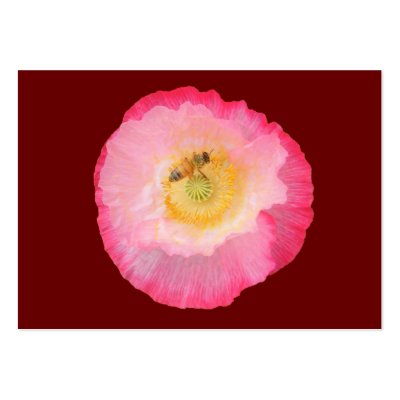 Bee on Poppy ~ ATC by Andy2302