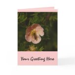 Bee on Potentilla cards