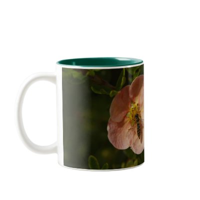 Bee on Potentilla Coffee Mugs by Flowerpixels