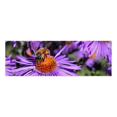 Bee On Purple Aster Flower Photo Mini Bookmark by SmilinEyesTreasures