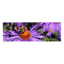 Bee On Purple Aster Flower Photo Mini Bookmark