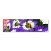 Bee on purple cinerarias bumper sticker