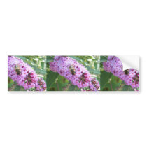 Bee On Purple Flower Bumper Stickers