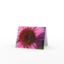 Bee on Purple Flower Card