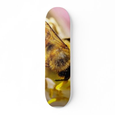 Bee On The Meyer Lemon Tree In My Balcony Skate Board by lifesphere