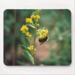 Bee on Wild Flower Mouse Pad