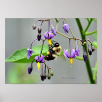 Bee Print