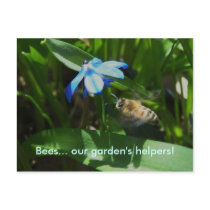 Bee & Scillia Postcard