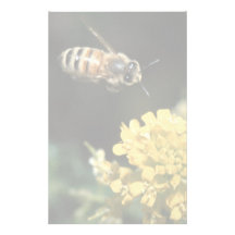 bee stationery design