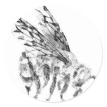 Bee sting stickers