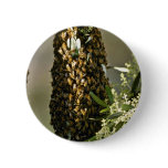 Bee swarm in tree Pink flowers buttons