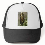Bee swarm in tree Pink flowers hats