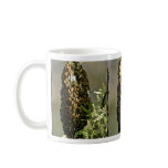 Bee swarm in tree Pink flowers mugs