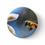 Bee With My Myer Lemon Tree Pinback Buttons