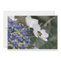 Bee with pollen in a white flower custom invite