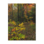 Beech Woods Post Cards