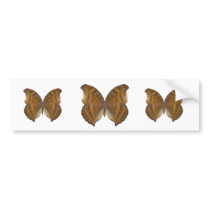 BeechWing Butterfly Bumper Sticker